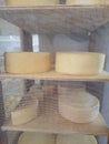 Different types of cheese on display in a shop with insect protection screens. Royalty Free Stock Photo