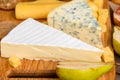 Different types of cheese Royalty Free Stock Photo