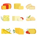 Different types of cheese pieces, popular kind of cheese vector Illustrations