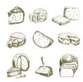 Different types of cheese. Set of vector sketches on white Royalty Free Stock Photo