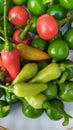 Different types of chillies on white plate Royalty Free Stock Photo