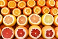 Different types of citrus oranges, grapefruits and pomelo cut. Royalty Free Stock Photo