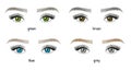 Different types and colors of eyes and eyebrows illustration. Woman`s eyes with long beautiful eyelashes. - Vector