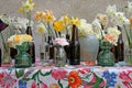 Different types of daffodils in small glass vases on the festive table . Royalty Free Stock Photo