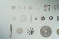 different types of diatoms, Royalty Free Stock Photo