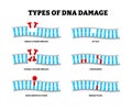 Different types of DNA Damage types. Genetic mutation. Genomic Instability. Single and double strand breaks, AP Site, crosslinks, Royalty Free Stock Photo