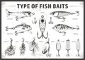 Different Types of Fish Baits for Anglers Royalty Free Stock Photo