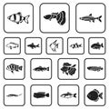 Different types of fish black icons in set collection for design. Marine and aquarium fish vector symbol stock web Royalty Free Stock Photo