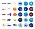 Different types of fish cartoon,flat icons in set collection for design. Marine and aquarium fish vector symbol stock Royalty Free Stock Photo