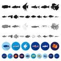 Different types of fish flat icons in set collection for design. Marine and aquarium fish vector symbol stock web Royalty Free Stock Photo