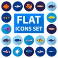 Different types of fish flat icons in set collection for design. Marine and aquarium fish vector symbol stock web