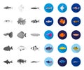 Different types of fish mono,flat icons in set collection for design. Marine and aquarium fish vector symbol stock web Royalty Free Stock Photo