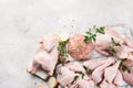 Different types of fresh chicken meat Royalty Free Stock Photo