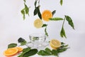 Different types of fresh raw green tea leaf flower bud dropping floating elevated lemon orange slice over empty transparent glass