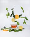 Different types of fresh raw green tea leaf flower bud dropping floating elevated lemon orange slice over transparent glass teacup