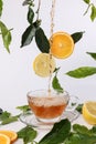 Different types of fresh raw green tea leaf flower bud dropping floating elevated lemon orange slice over transparent glass teacup Royalty Free Stock Photo