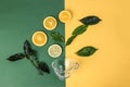 Different types of fresh raw green tea leaf flower bud lemon orange slice empty transparent glass teacup on green yellow paper Royalty Free Stock Photo