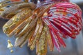 Different Types Of Gold, Glass & Metal Bangles. Indian Traditional Ornaments For Married Female. Image - 10