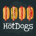 4 different types hotdog with tomato, ketchup, mayo, lettuce, mustard, onion. Vector color flat icon