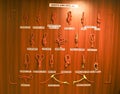 Different types of knots and hitches on display at Hall of Fame, Leh