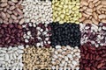 Different types of legumes, sources of vegetable proteins