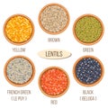 Different types of lentils in bowls. Basmati, wild, jasmine, long brown, arborio, sushi