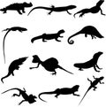 Different types of lizard silhouette