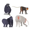 Different types of monkeys rare animal vector set.