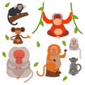 Different types of monkeys rare animal vector set.