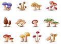 Different types of mushrooms on a white background