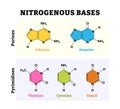 Different types of nitrogenous base molecule types structure with diagram form chain. Vector illustration. Labeled pyrimidines, Royalty Free Stock Photo