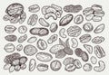 Different types of nuts detailed icons Royalty Free Stock Photo