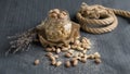 Different types of nuts, nuts in honey, nuts in slowmo, honey Royalty Free Stock Photo