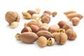 Different types of nuts in the nutshell.