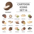 Different types of nuts set collection icons in cartoon style Royalty Free Stock Photo