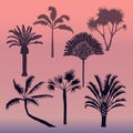 Different types of palms vector.