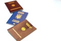 Different types of passports displayed on a clean white surface with a focus on travel documentation and international identity Royalty Free Stock Photo