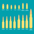 Different types of pistol and rifle bullets with description on blue background.