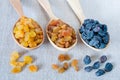 Different types of raisins on wooden spoons on sacking background Royalty Free Stock Photo