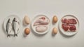Different types of raw meat and eggs organized in plastic containers Royalty Free Stock Photo