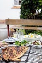 Different types of salads for summer entertaining Royalty Free Stock Photo