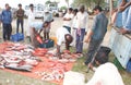 Different types of Saline water fish being unloaded