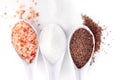 Different types of salts in spoons Royalty Free Stock Photo