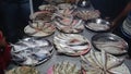 DIFFERENT TYPES OF SEA FOOD (FISHES)