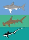 Different types of sharks.