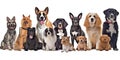 Different types and sizes of dogs group. AI generated Royalty Free Stock Photo