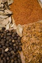 Different types of spices Royalty Free Stock Photo