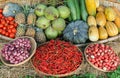 Different types of Thai vegetables Royalty Free Stock Photo