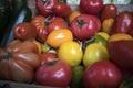 Different types of tomatoes for sale on counter at Borough Market Royalty Free Stock Photo