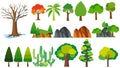 Different types of trees